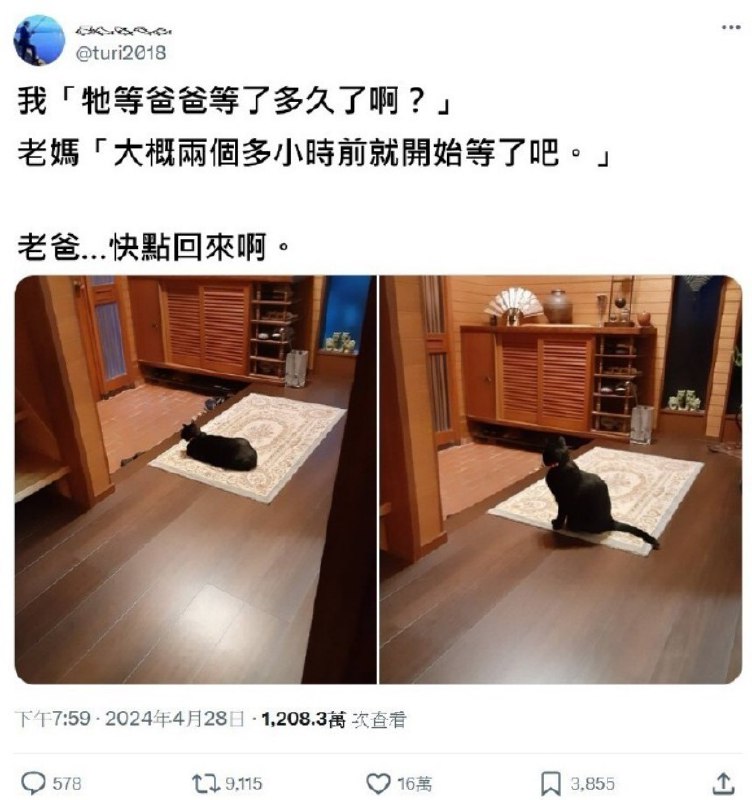 我家的貓說是演的via DECADE