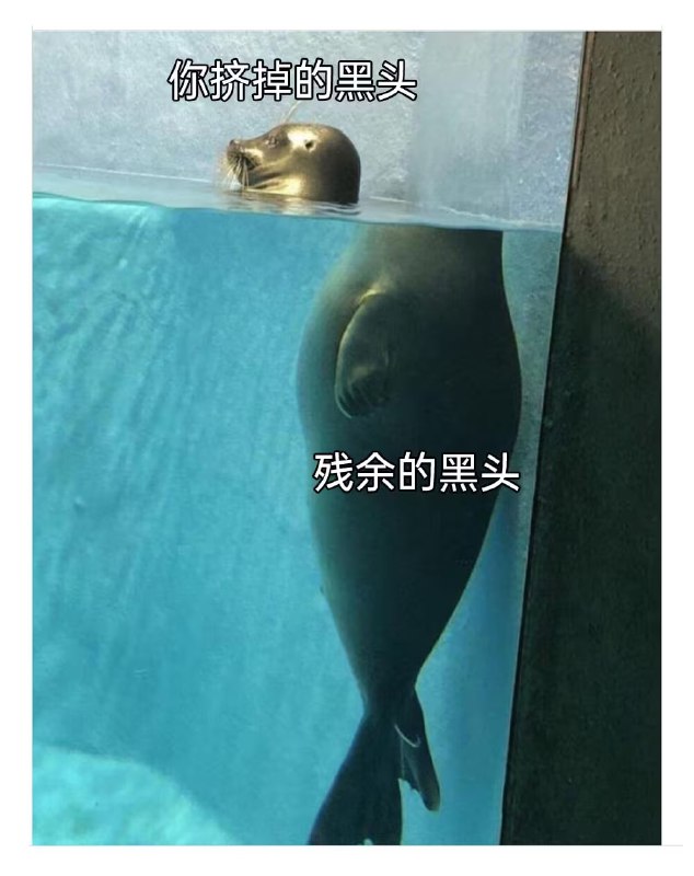 via 8号沙雕网友