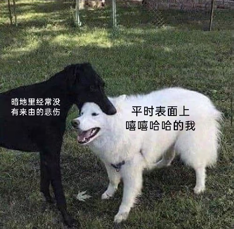 via 6号沙雕网友
