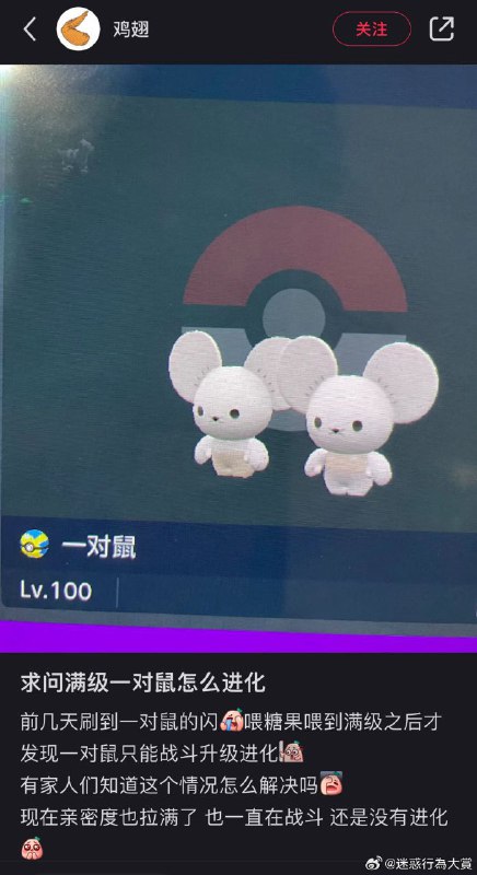from 心惊报from 心惊报