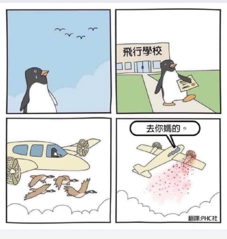from 猫猫窝🐈🐈‍⬛️from 猫猫窝🐈🐈‍⬛️