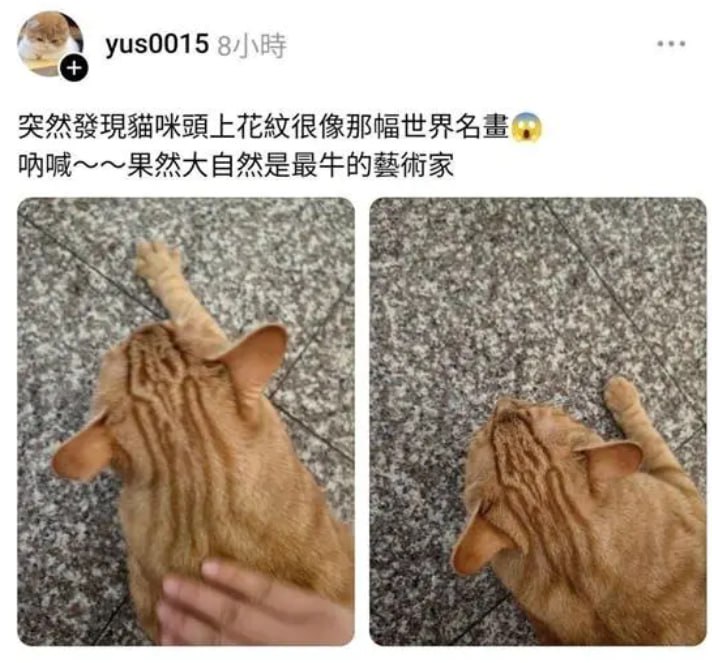 from 什麼都來點 via DECADE