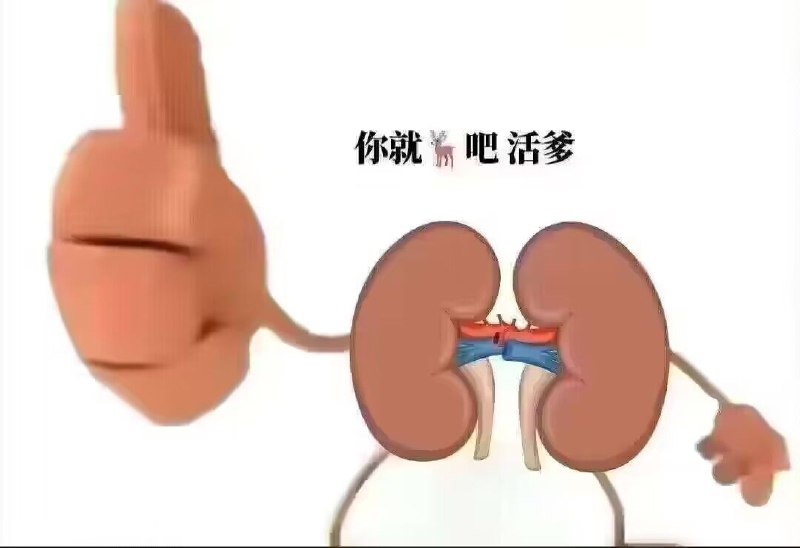 如果器官会说话