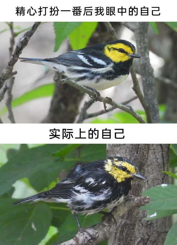 via 7号沙雕网友