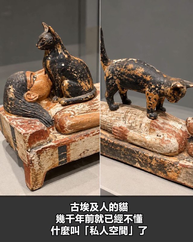 from 發點囧圖 via DECADE