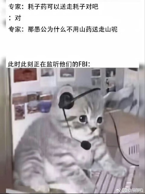 from 荔枝木