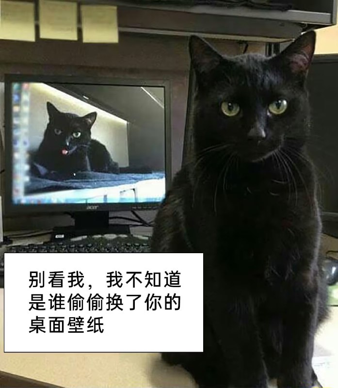 via 6号沙雕网友