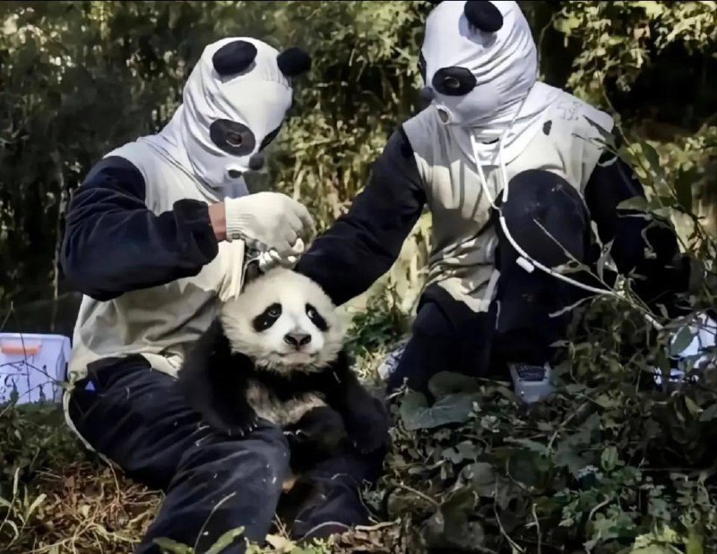 via 犯罪嫌疑人张某via 犯罪嫌疑人张某