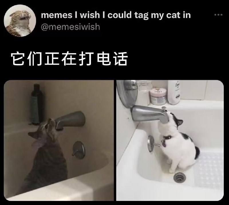 via 7号沙雕网友