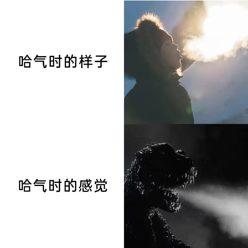 via 6号沙雕网友