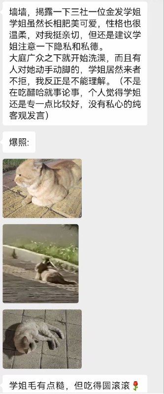 via 秘鲁寒流