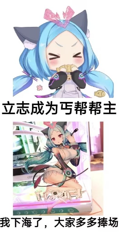 from 猫猫窝🐈🐈‍⬛