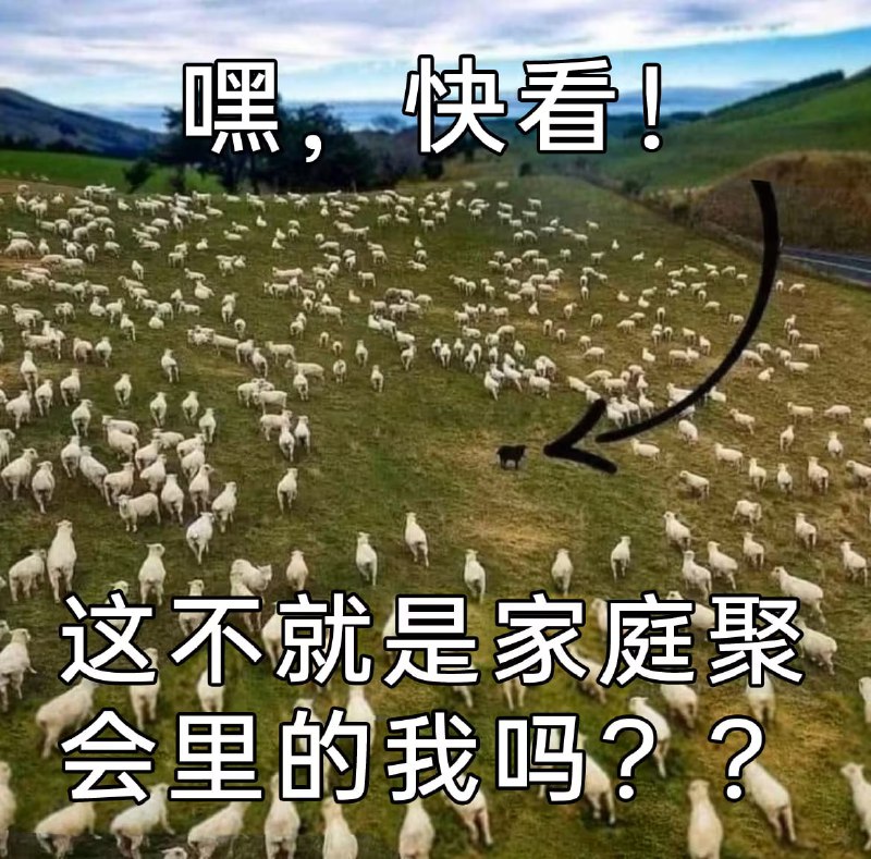 via 7号沙雕网友
