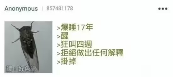 via 7号沙雕网友