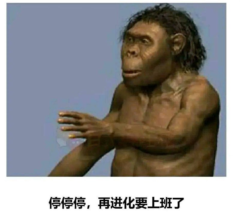 from 咕咕咕 提前给大家拜个早年