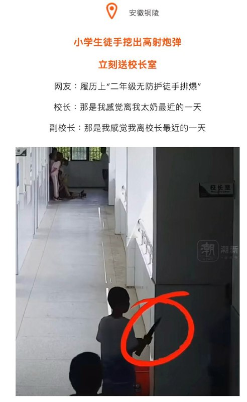 年度沙雕新闻via X年度沙雕新闻via X