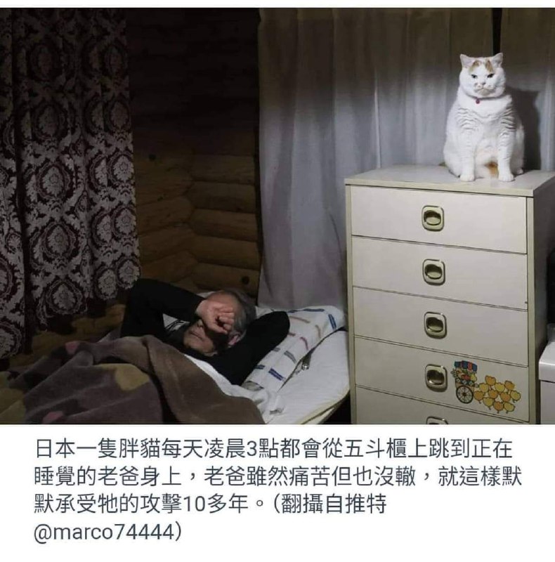 古早生物鬧鐘from kiki jiji