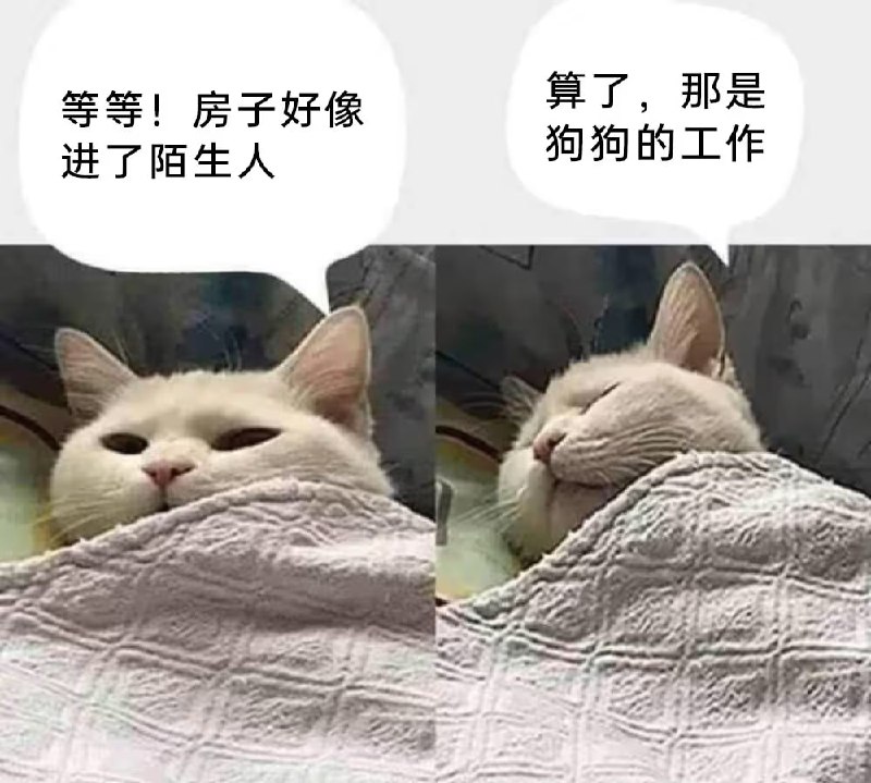 via 7号沙雕网友
