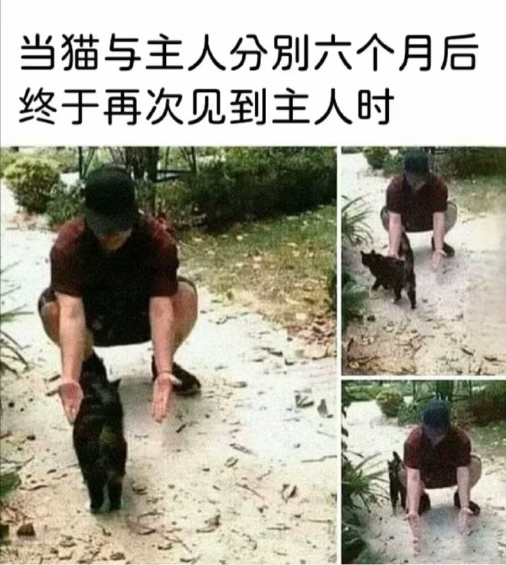 via 6号沙雕网友
