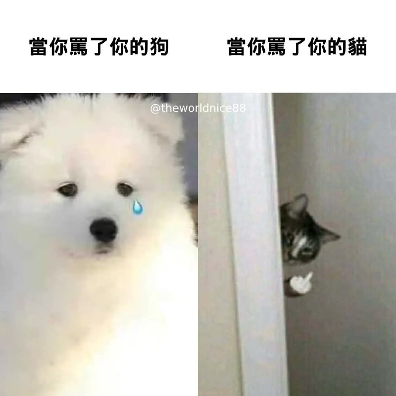 from 什麼都來點 via DECADE