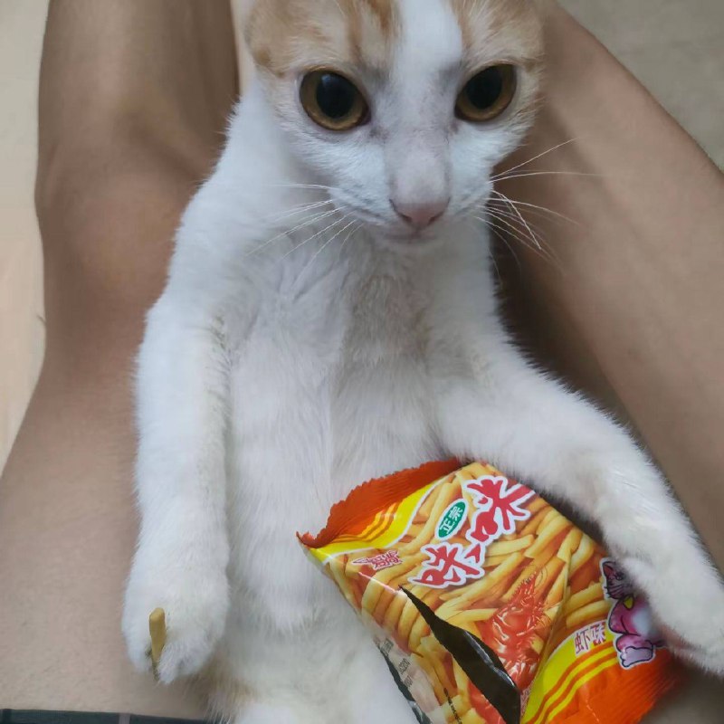 via 犯罪嫌疑人张某