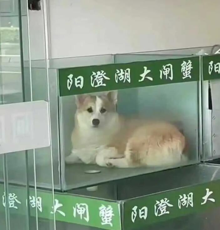 via 7号沙雕网友