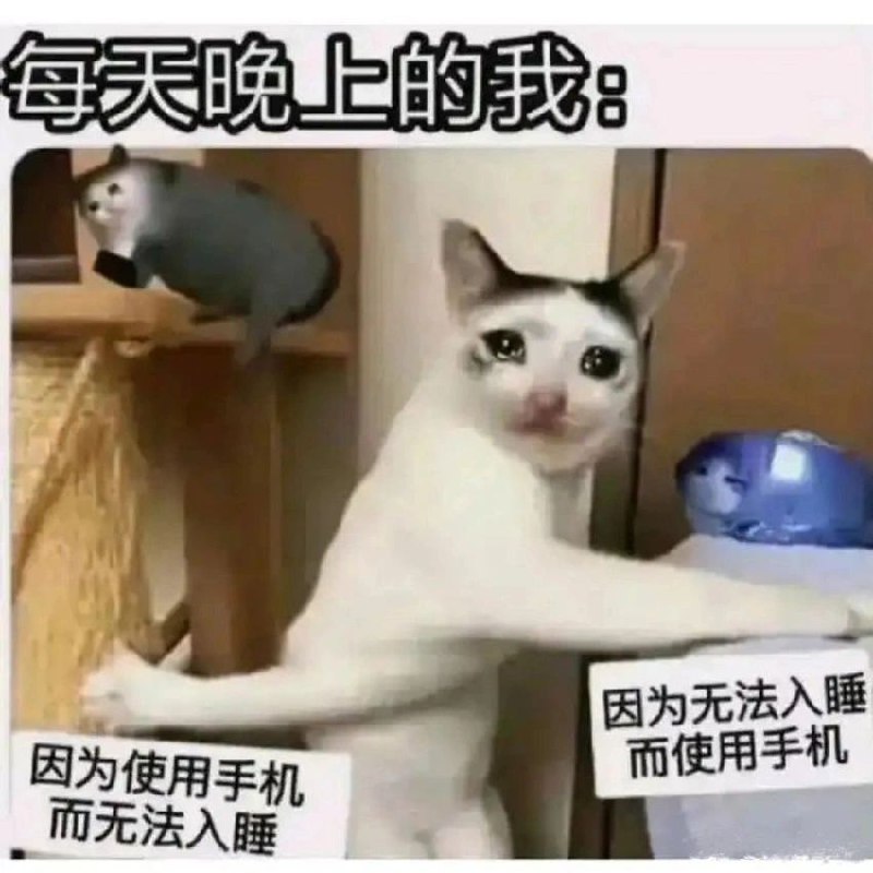 from Anzu什么都发 via electri