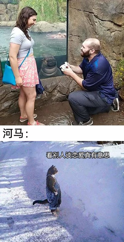 via 8号沙雕网友