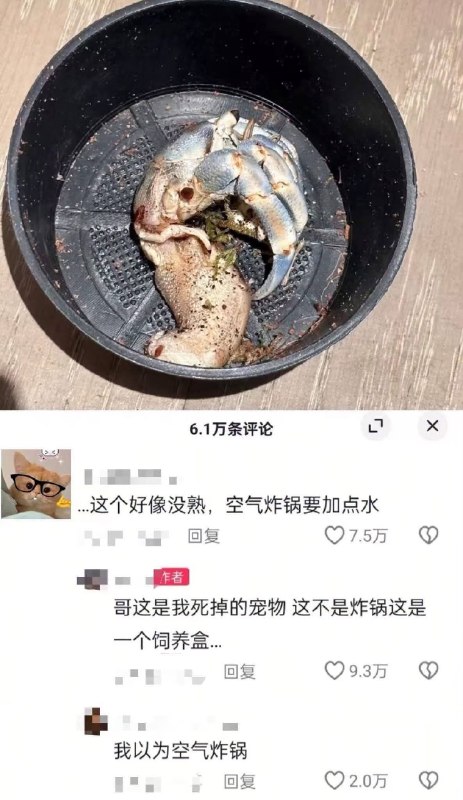 via 小猫