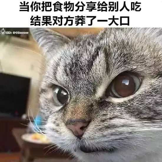 via 6号沙雕网友