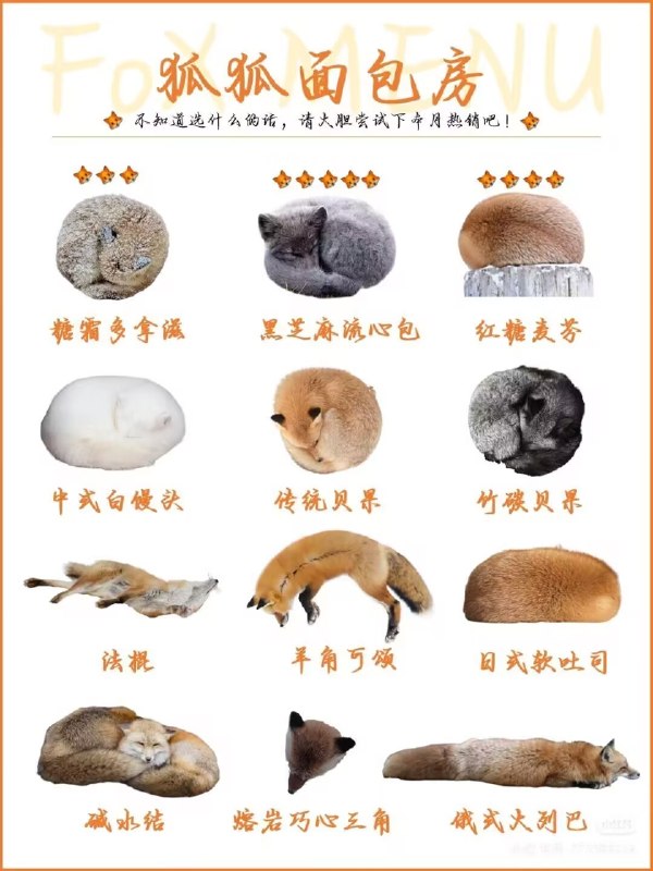 from QQ空间