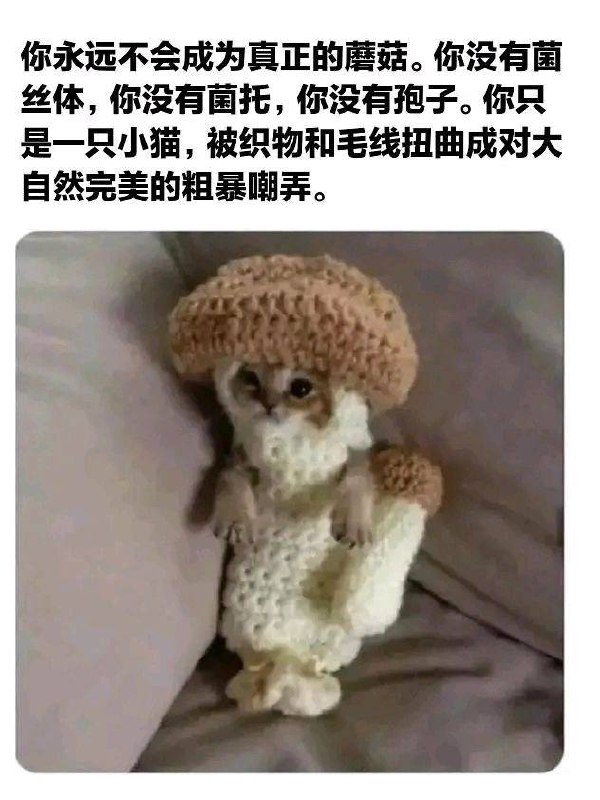 via 犯罪嫌疑人张某