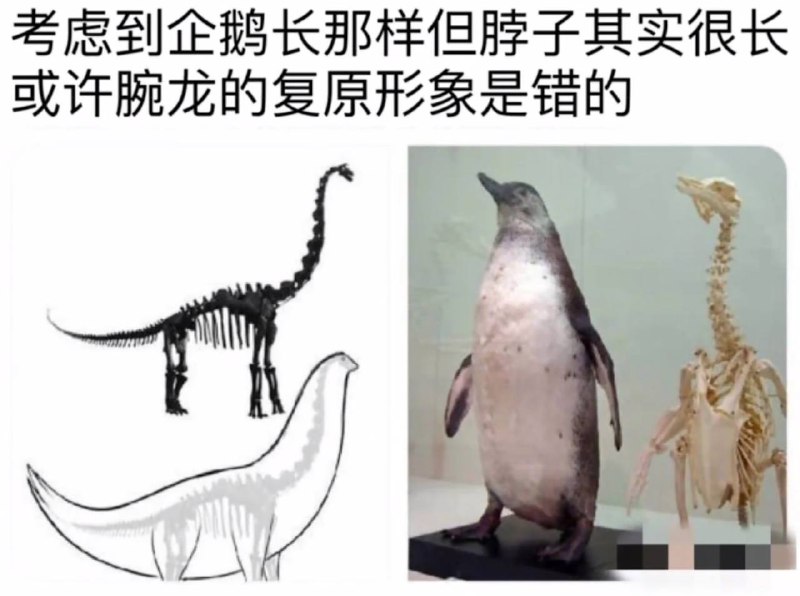 via 犯罪嫌疑人张某