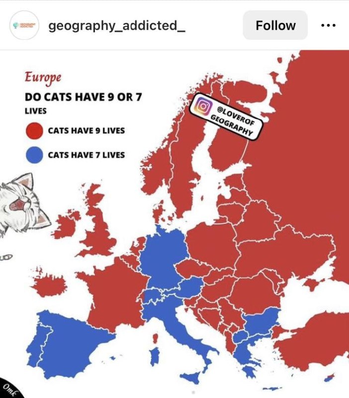 在西班牙语国家，猫有七种生命