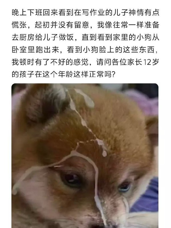 via 凌云via 凌云