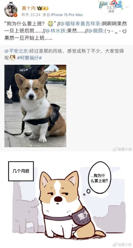 via 7号沙雕网友
