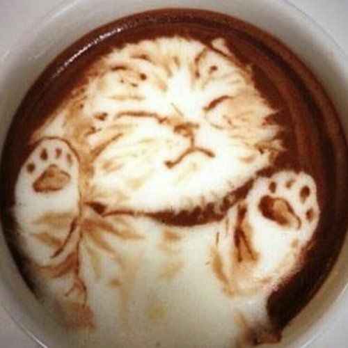 猫猫拉花（❤️）from 浪_ _草