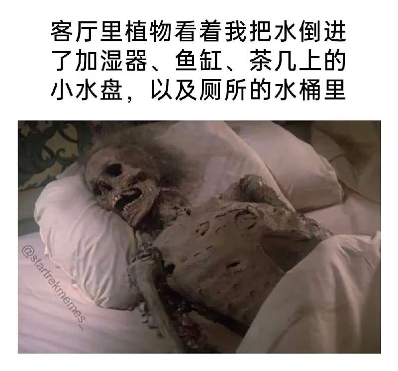 via 6号沙雕网友