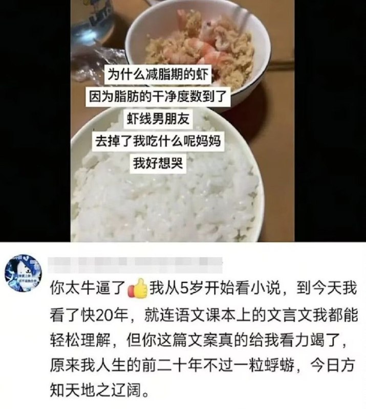 via 8号沙雕网友