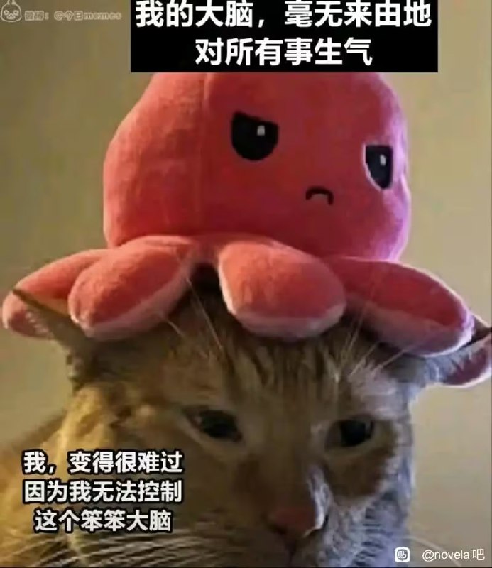 via 6号沙雕网友