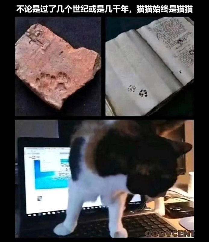 via 犯罪嫌疑人张某