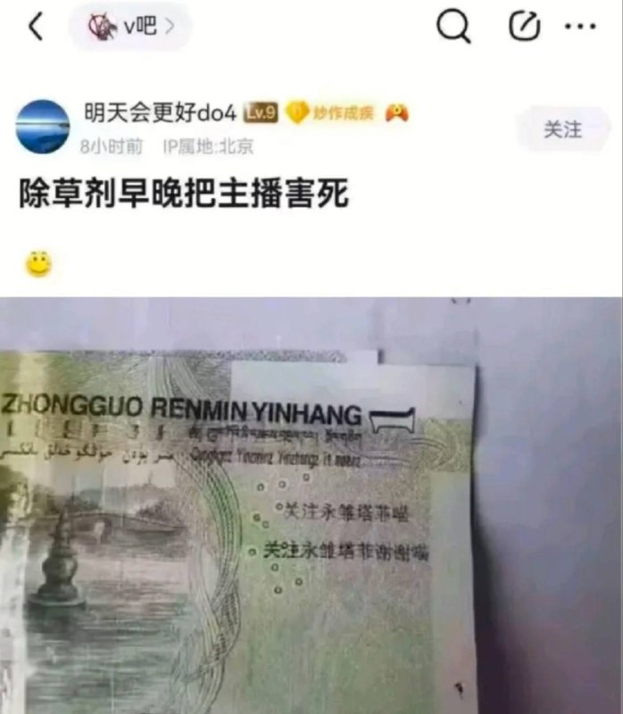 via 犯罪嫌疑人张某