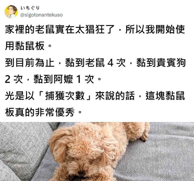 MVP！from 什麼都來點 via DECADE
