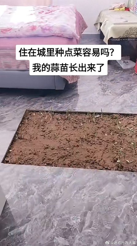 from 心惊报 via Enlysurefrom 心惊报 via Enlysure