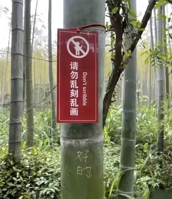 via 7号沙雕网友