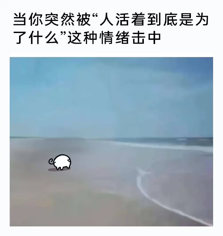 via 7号沙雕网友
