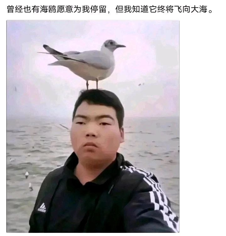via DECADE