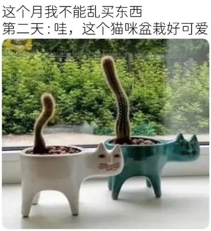 via 8号沙雕网友