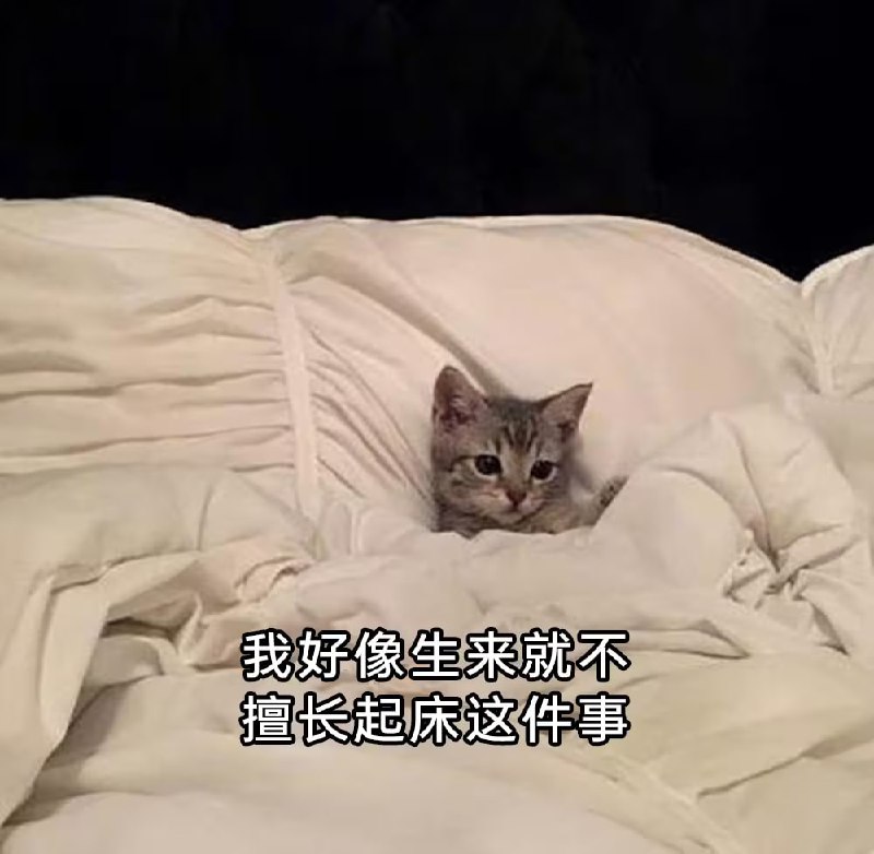 via 7号沙雕网友