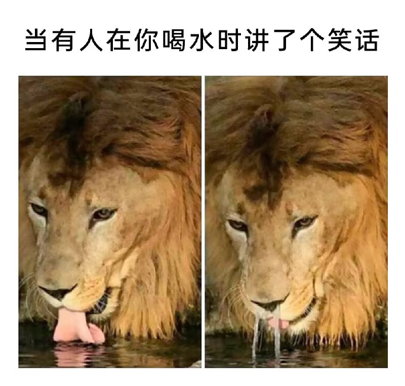 via 7号沙雕网友